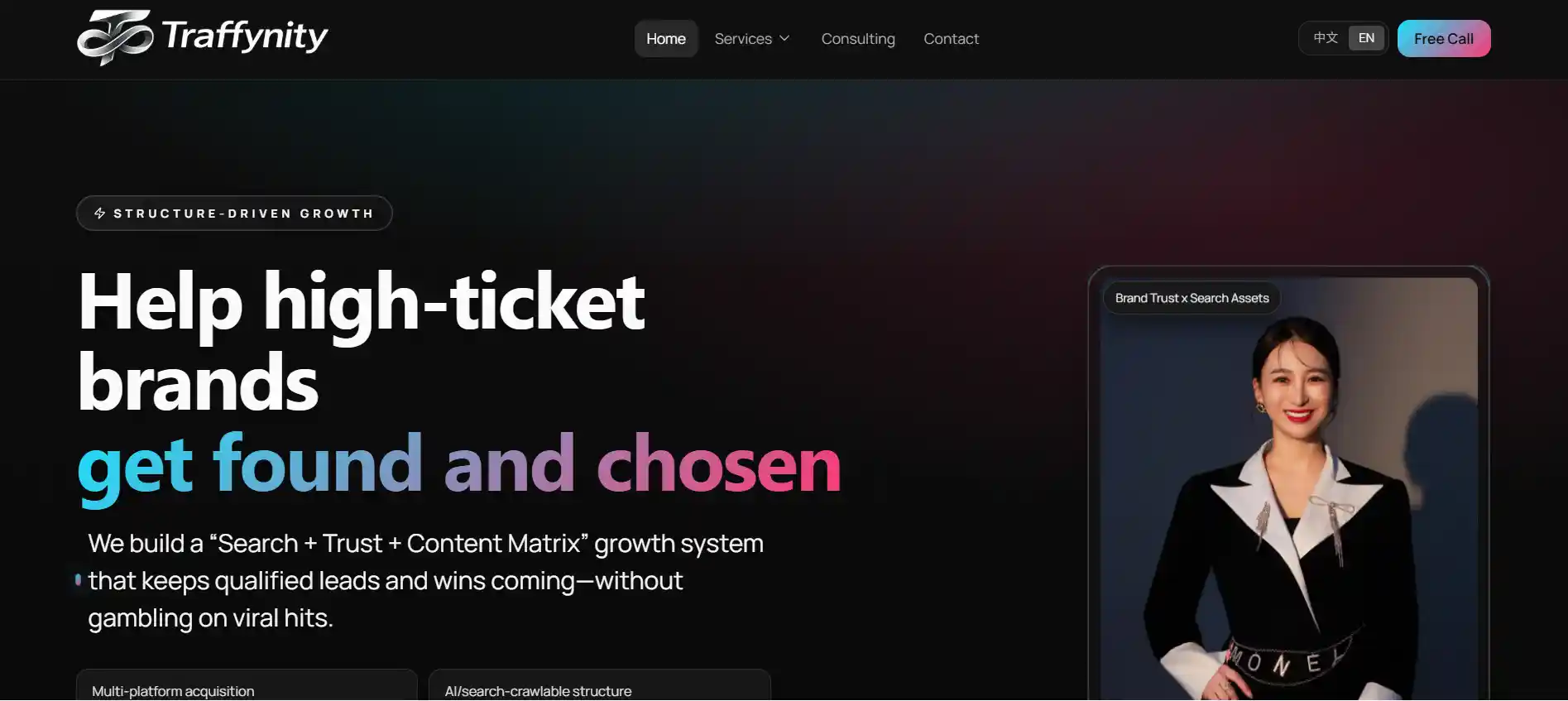 Traffynity project cover for Growth Consulting Website